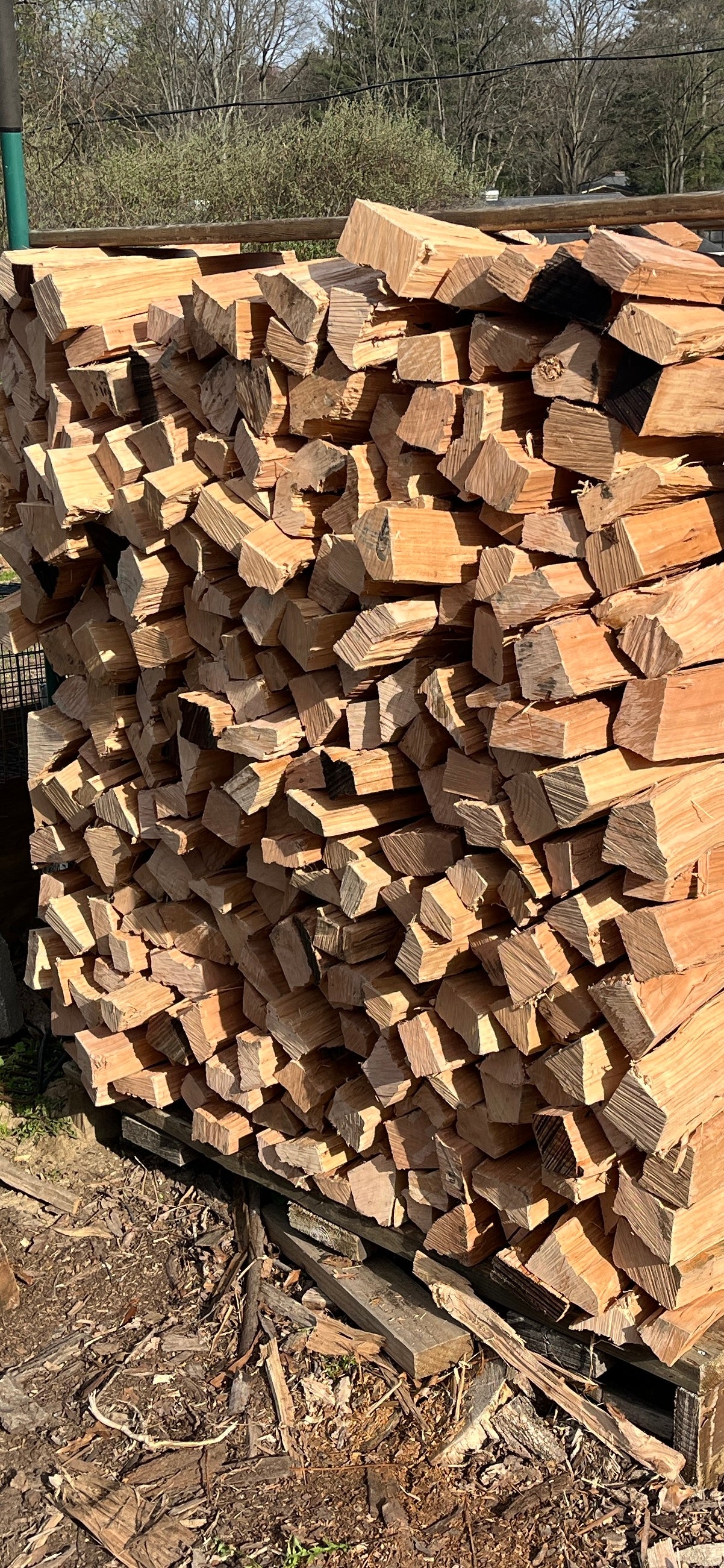 Premium Cherry Cooking Wood