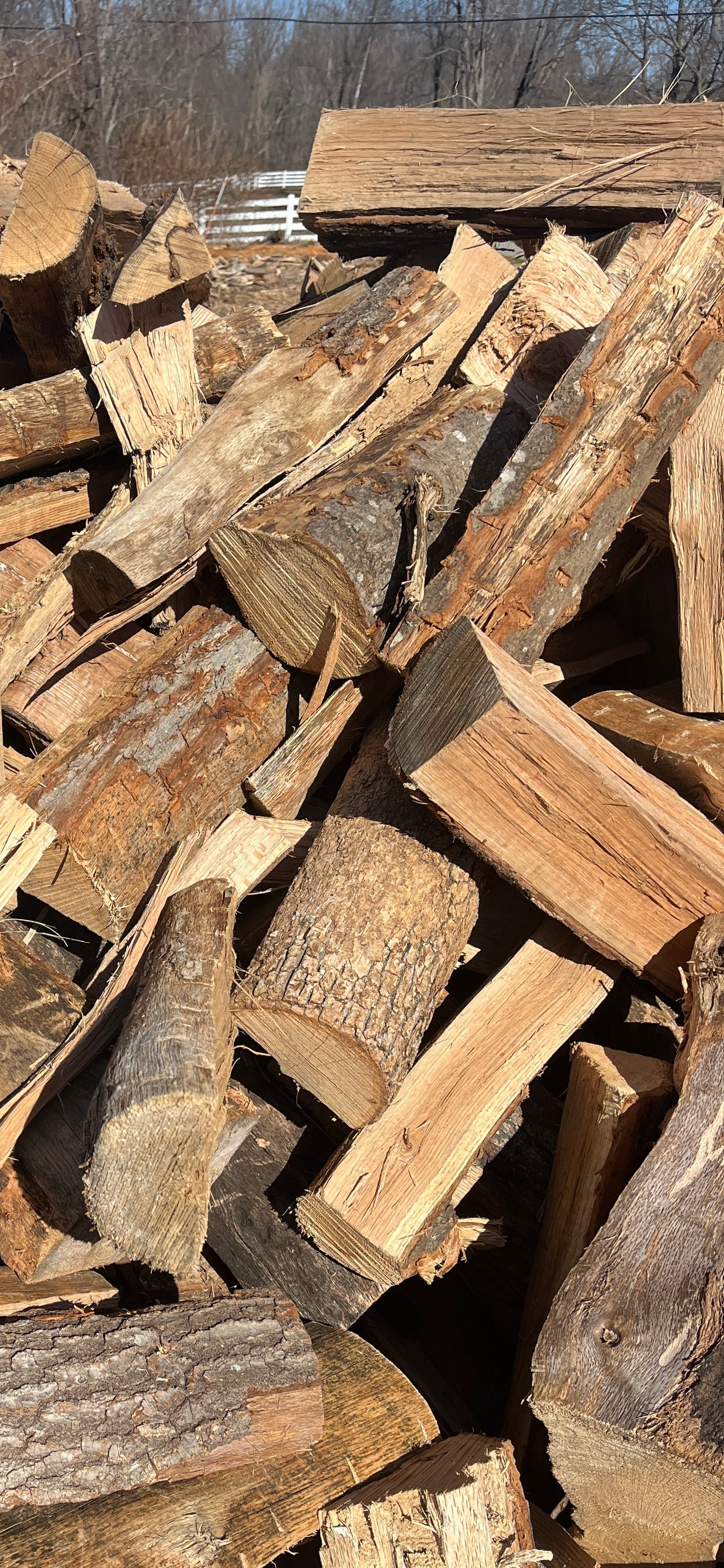 Oak Cooking Wood