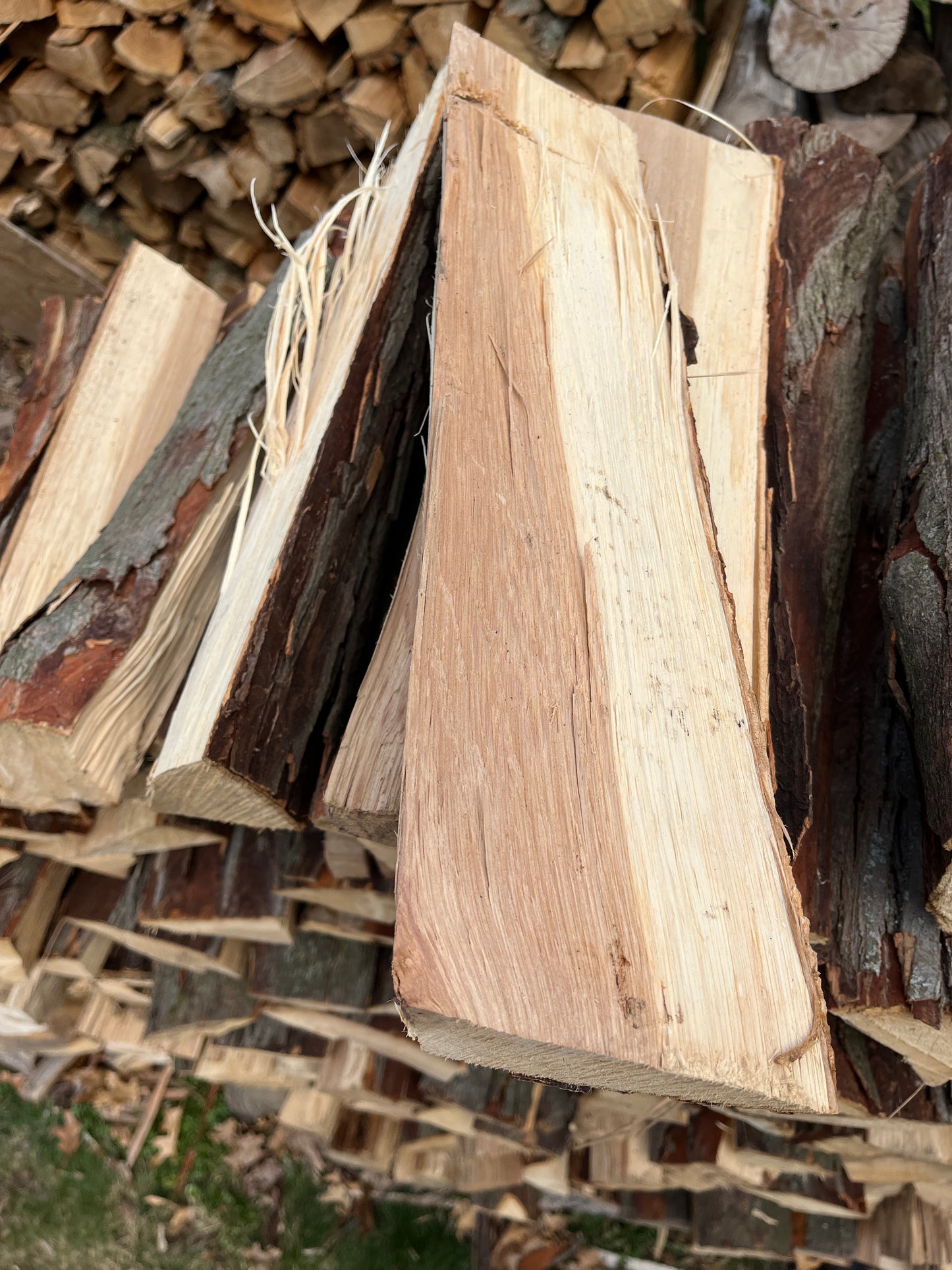 Hickory
