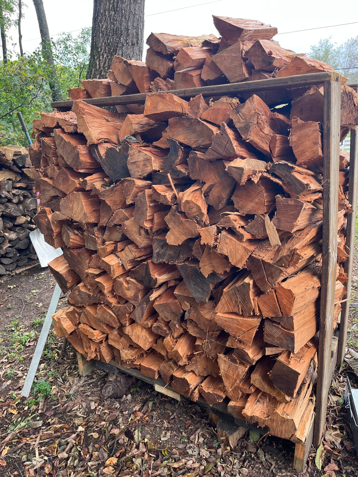 Premium Cherry Cooking Wood