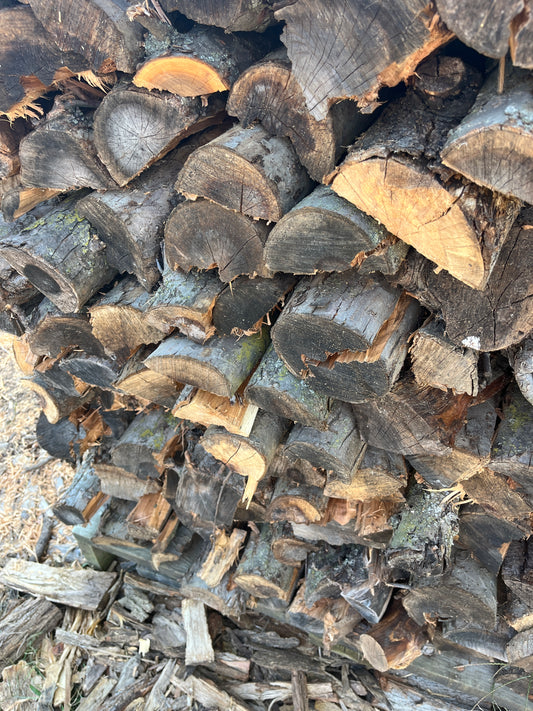 Apple Logs