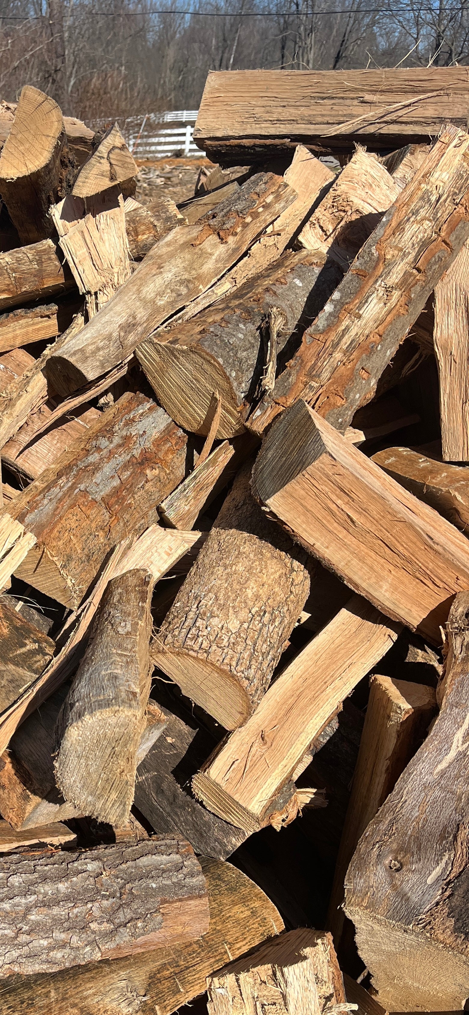 A pile of firewood is shown. The wood pieces vary in size and shape, with some retaining bark and others appearing freshly cut. The colors range from light beige to dark brown, indicating different types or ages of wood. The pile is stacked haphazardly, suggesting it is either recently gathered or waiting to be organized. The background is blurred, focusing attention on the texture and patterns of the wood.
